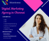 SEO to Social Media: How Wonkrew Covers All Your Digital Marketing Needs in Chennai