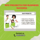 BPO Projects for Business Success: As described below, outsourcing is one of the effective strategies that can help in boosting growth….