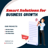 Smart Solutions for Business Growth: REALISING CAPABILITY
