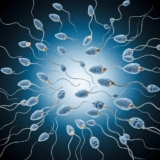 Understanding How Abnormal Sperm Count Affects Male Fertility