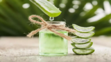 The Science Behind Aloe Vera: Healing Properties and Everyday Uses