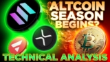 Top 7 Altcoins to Hold Before 2025 Alt Season