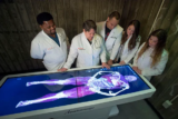 Anatomy Table: A Comprehensive Guide to Understanding Human Anatomy