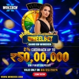 The math behind Andar Bahar: Calculating odds and payouts