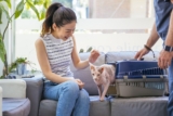Essential Tips for Preparing Your Cat for Boarding in Dubai