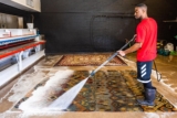 Professional rug cleaning Denver, CO: Improve the cleanliness of your home with Ever Steam Carpet Cleaning LLC