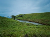Wayanad: The Perfect Honeymoon Destination for Delhi Couples