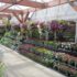 The Benefits of Adding Indoor Plants to Your Office