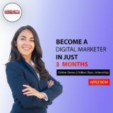 Master Digital Marketing at Greenbox Digital Institute in Delhi