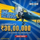 Advanced IPL betting: Beyond the basics