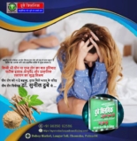 Best sexologist in Patna for protection of sexual health from dengue | Dr. Sunil Dubey