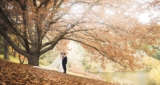 Discover the Best Adelaide Wedding Venues for Your Dream Day