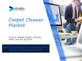 Carpet Cleaner Market Insights: Exploring Product Segments, Distribution Channels, and Consumer Preferences