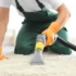 Carpet Cleaning Services near me