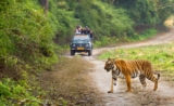 Nainital Jim Corbett Tour Packages: A Perfect Blend of Nature and Adventure