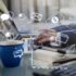 Predict Your Future with Destini.ai: A Step-by-Step Guide