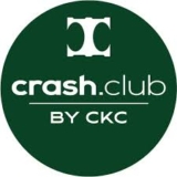 Long Silver Earrings: The Ultimate Guide to Elegant and Versatile Style