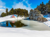Snow Treks in Winter: The Ultimate Winter Adventure with Trek The Himalayas