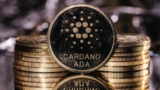 How to Stake Cardano (ADA) and Earn Rewards Easily