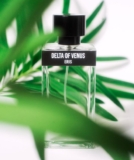 Discovering the Magic of Delta of Venus: The Best Guava Perfume