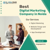 MegaSpark: Best Digital Marketing Company in Noida Driving Evolution