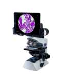 Transform Your Learning Experience: Why High-Quality Microscopes Matter!