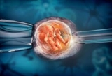 How Do You Choose the Best IVF Specialists in Kolkata for Your Personalized Care?