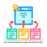How Search Engines Interpret Canonical Tags