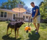 The Ultimate Guide to Pooper Scooper Service in Schaumburg, IL