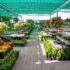 Create Your Dream Space (Fast!): Discover the Advantages of a Portable Room
