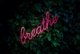 Everyday Wellness through Breathing You Can Actually Do