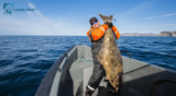 Halibut vs Flounder: Understanding the Differences