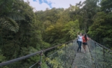 Arenal Hanging Bridges: What to Expect on Your Guided Tour