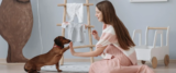 UNLOCK THE SECRETS OF PERFECT PET TRAINING