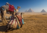 Discover the Best Egypt Tour Packages for an Unforgettable Vacation