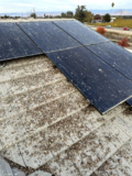 How to Choose the Right Bird Proofing System for Your Solar Panels