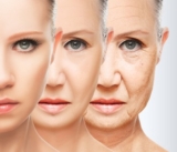 THC and Aging: A Deep Dive into Potential Benefits