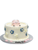 Occasional Cakes : Make Every Celebration Sweeter