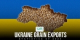 Most noteworthy Supplier of Grain from Ukraine