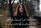 Urdu poetry sad lines