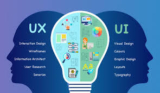Beyond the Buzz: Picking the Perfect UI/UX Course