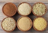 Gluten Free Ancient Grain Market Dynamics: A Deeper Dive into the Rising Demand