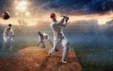 A Review of Leading Online Cricket Betting ID Providers in India
