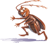 San Antonio Termite Control: Reliable Solutions for Your Home