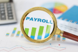 Simplify Your Payroll: Why Businesses Are Switching to Automated Payroll Services