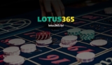 Mastering Betting Strategies with Lotus365: Your Guide to Winning Big