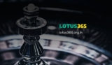 Why Lotus365 is the Future of Digital Entertainment
