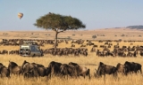 Why You Should Visit the Maasai Mara in Kenya