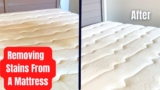 Mattress Stain Remover Denver, CO: Your Go-To Solution by Ever Steam Carpet Cleaning LLC