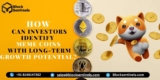 How can investors identify meme coins with long-term growth potential?